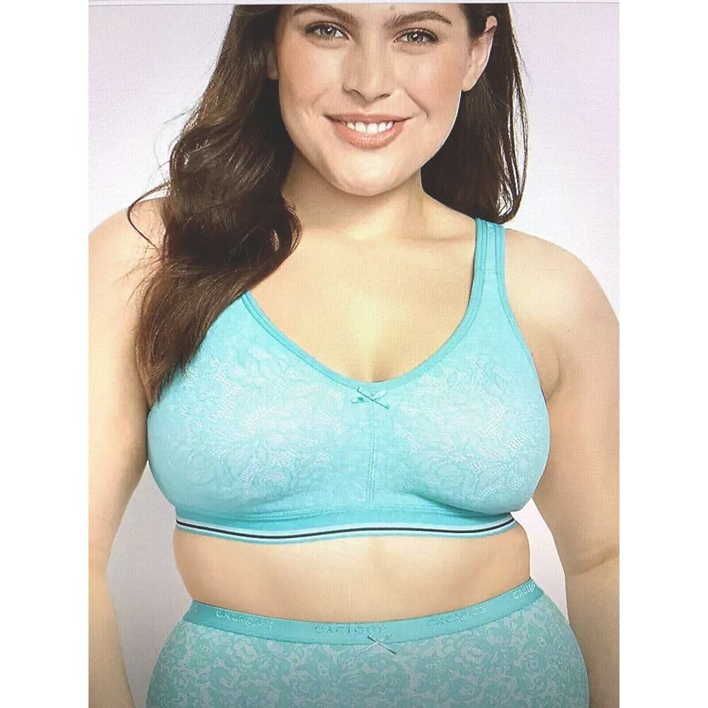 NWT Lane Bryant Aqua Blue and White High Waist Cotton Brief Panties in 22 24 2X